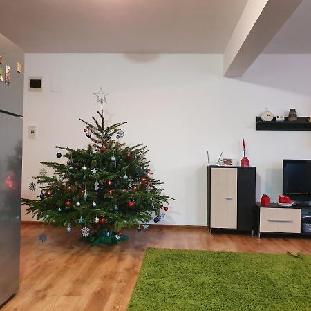 Ferienwohnung Gloria Apartament Baia Mare Exterior foto