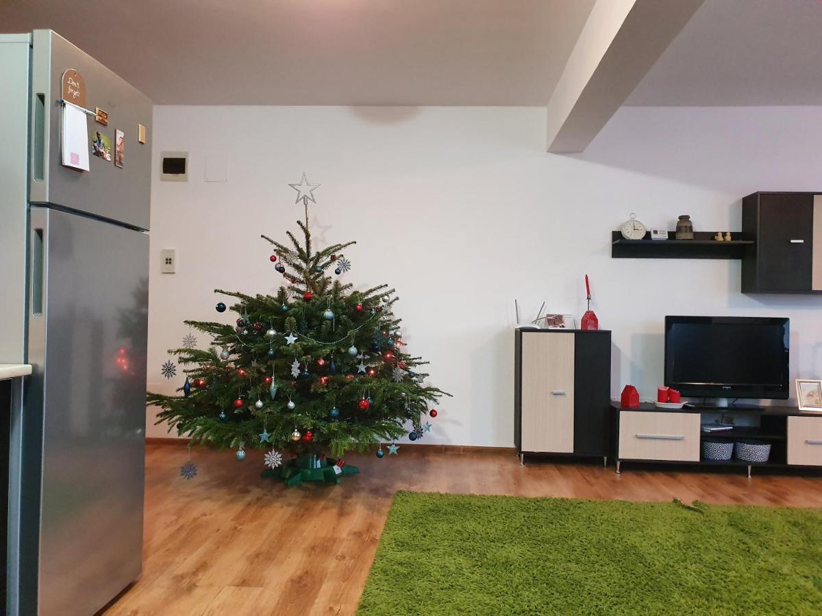 Ferienwohnung Gloria Apartament Baia Mare Exterior foto